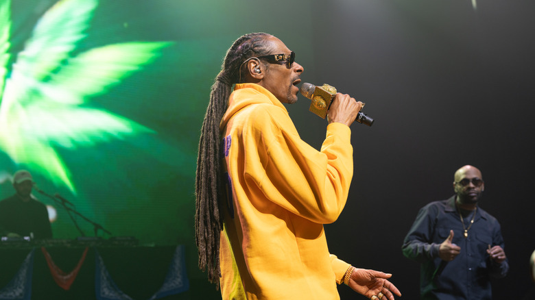 Snoop Dogg performing