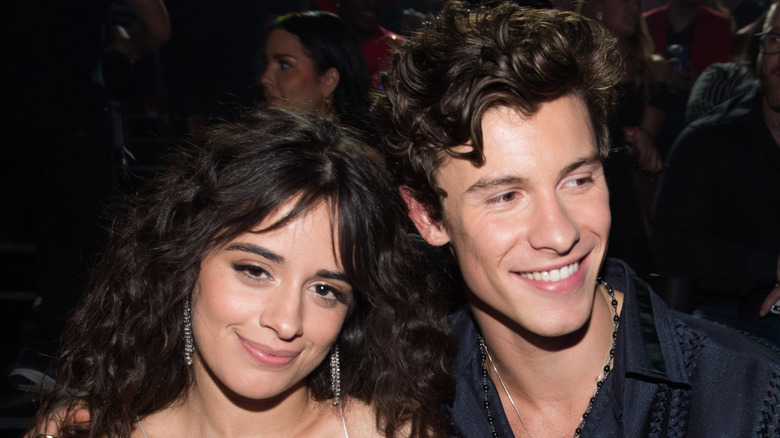 Shawn Mendes and Camila Cabello posing