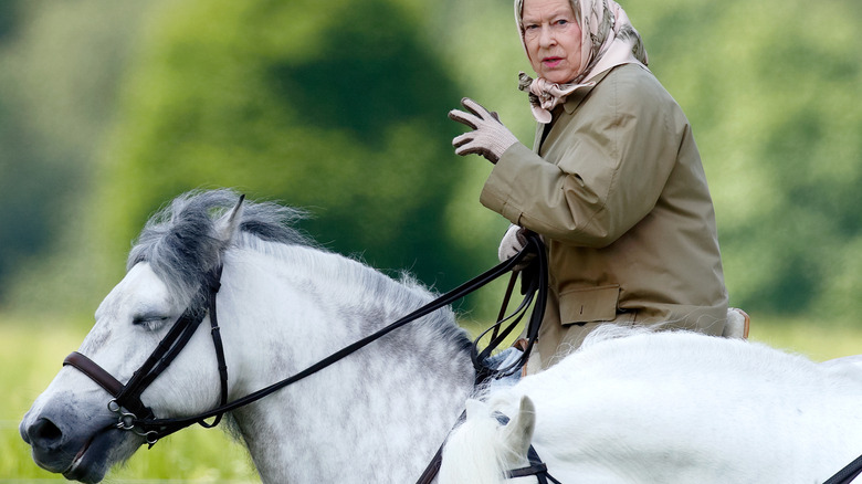 Queen elizabeth riding horse