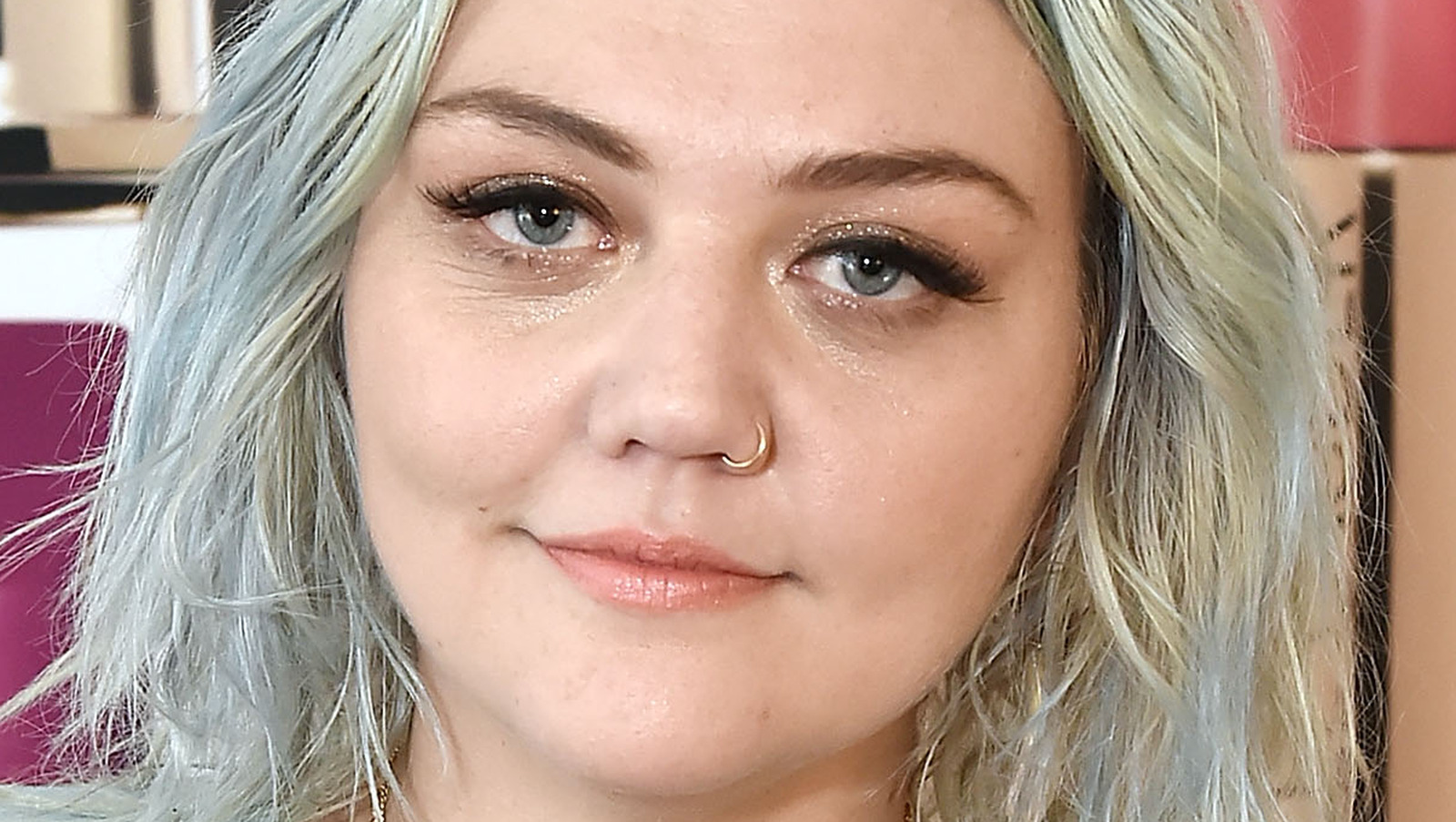 Who Is Elle King's Fiance, Dan Tooker?