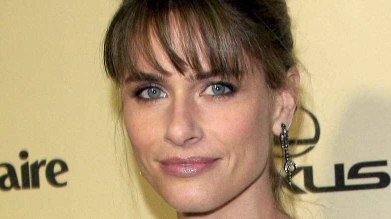 Amanda Peet smiling