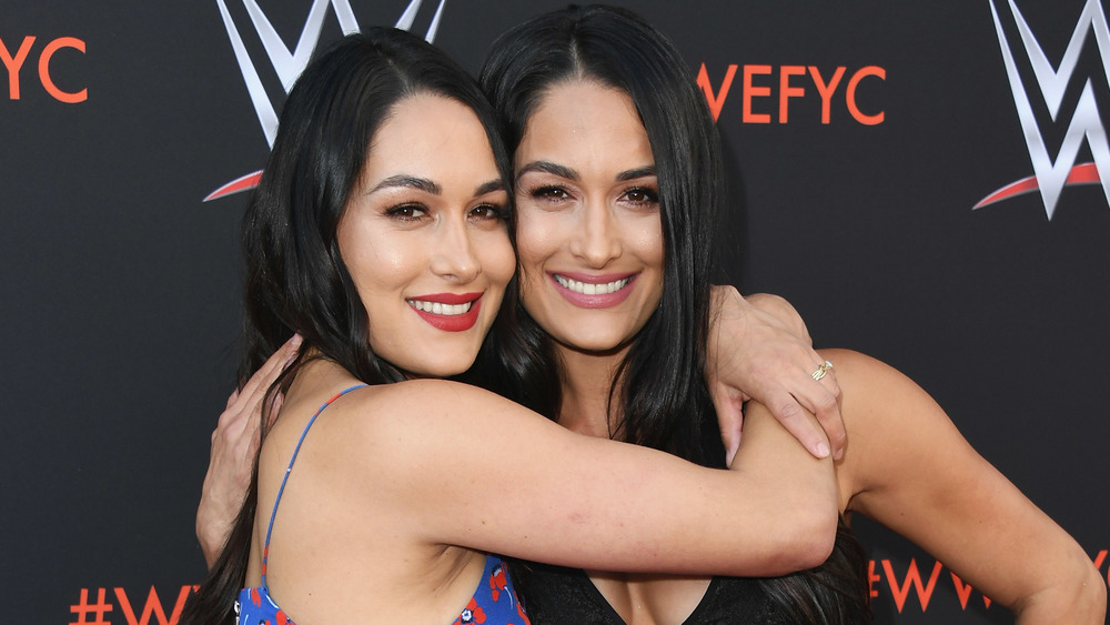 Brie Bella and Nikki Bella embracing on the red carpet