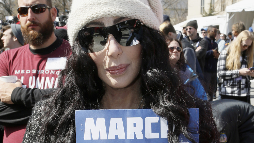 Cher protesting 