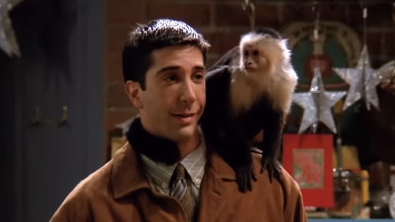 David Schwimmer as Ross with the monkey