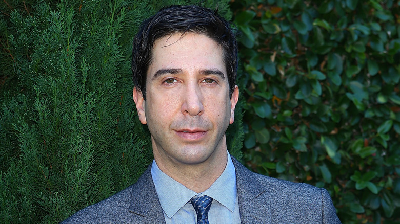 David Schwimmer posing