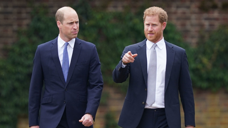 Prince William and Prince Harry