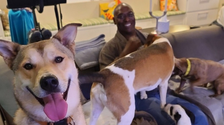 Lance Reddick on sofa dogs