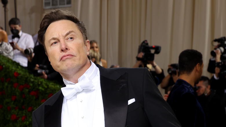 Elon Musk at the Met Gala