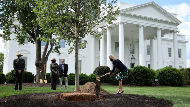 Dr. Jill Biden planting a tree at the White House