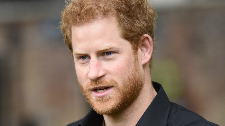 Prince Harry speaking in polo shirt