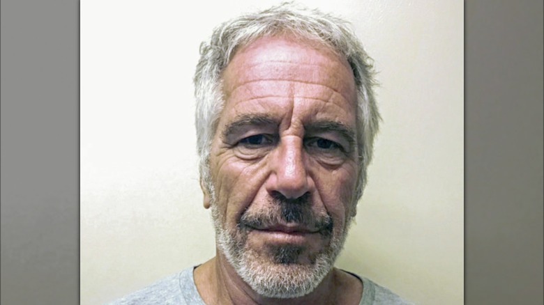 Jeffrey Epstein's mugshot