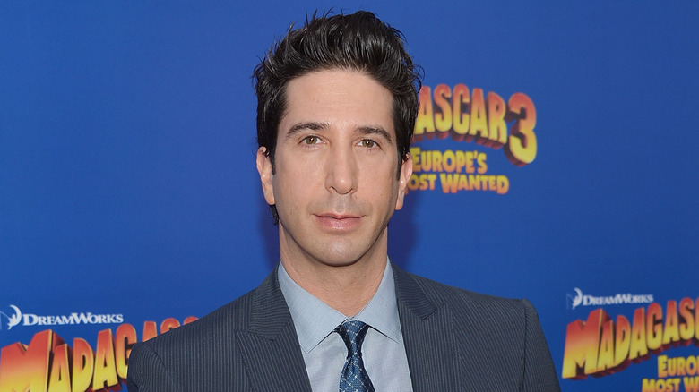 David Schwimmer posing