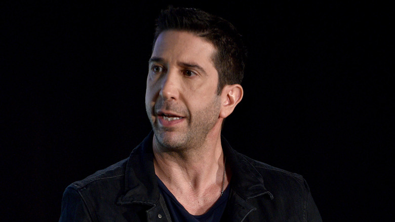 David Schwimmer speaking