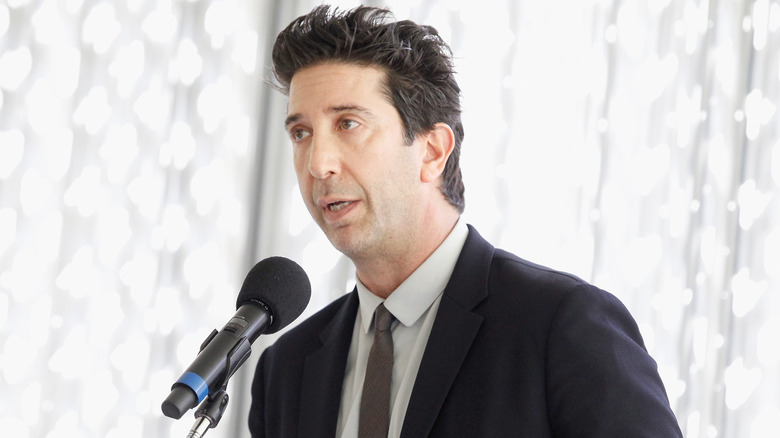 David Schwimmer speaking