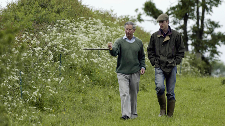 Prince Charles and Prince William walking in nature