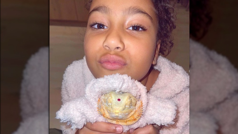 North West poses with her bearded dragon