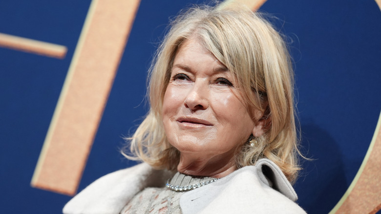 Martha Stewart posing in diamond necklace and gray sweater and coat