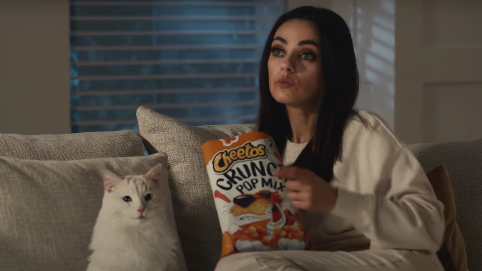 cheetos cat commercial