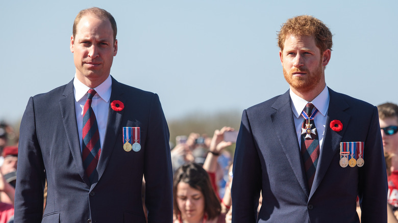 Prince William and Prince Harry standing side by side