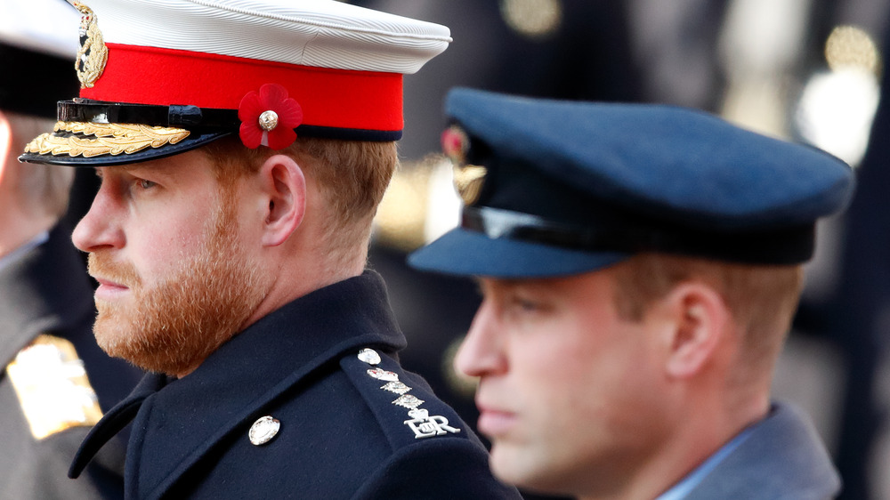 Prince William and Prince Harry serious