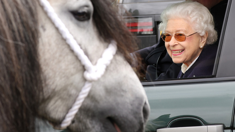 Queen Elizabeth smiles at horse at Windsor Horse Show