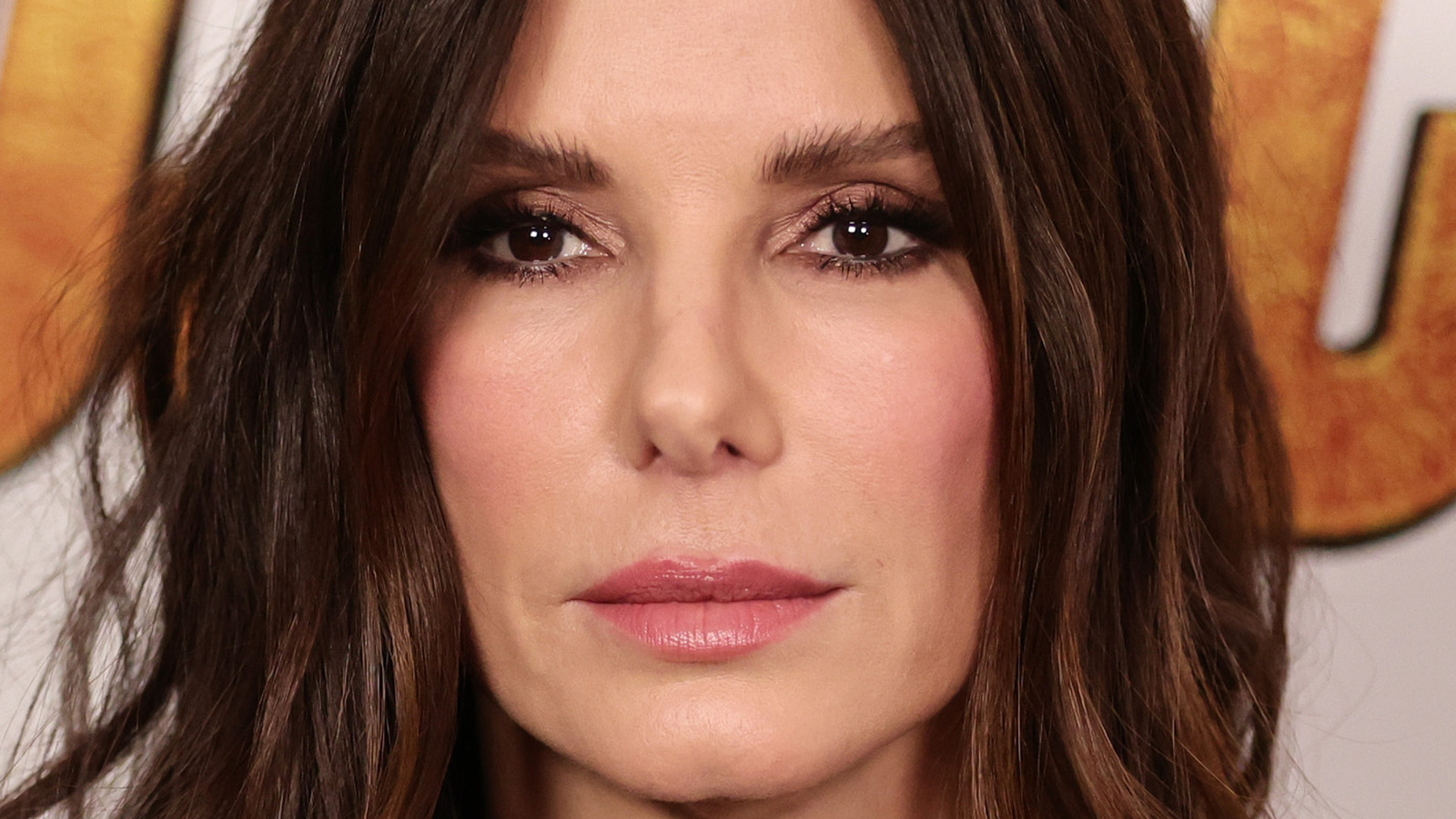 Why Sandra Bullock Has No Plans To Get Married To Bryan Randall 1798