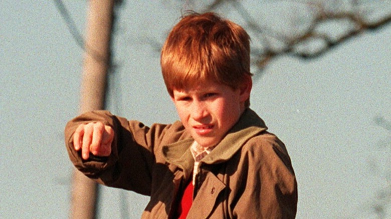 Prince Harry as a little boy