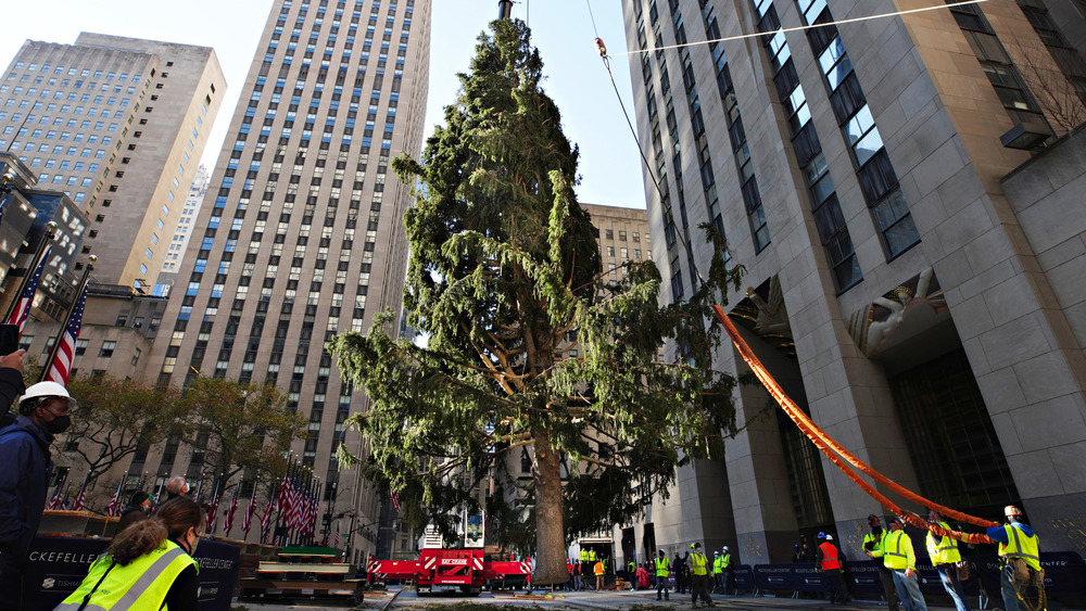 Rockefeller Center Christmas tree