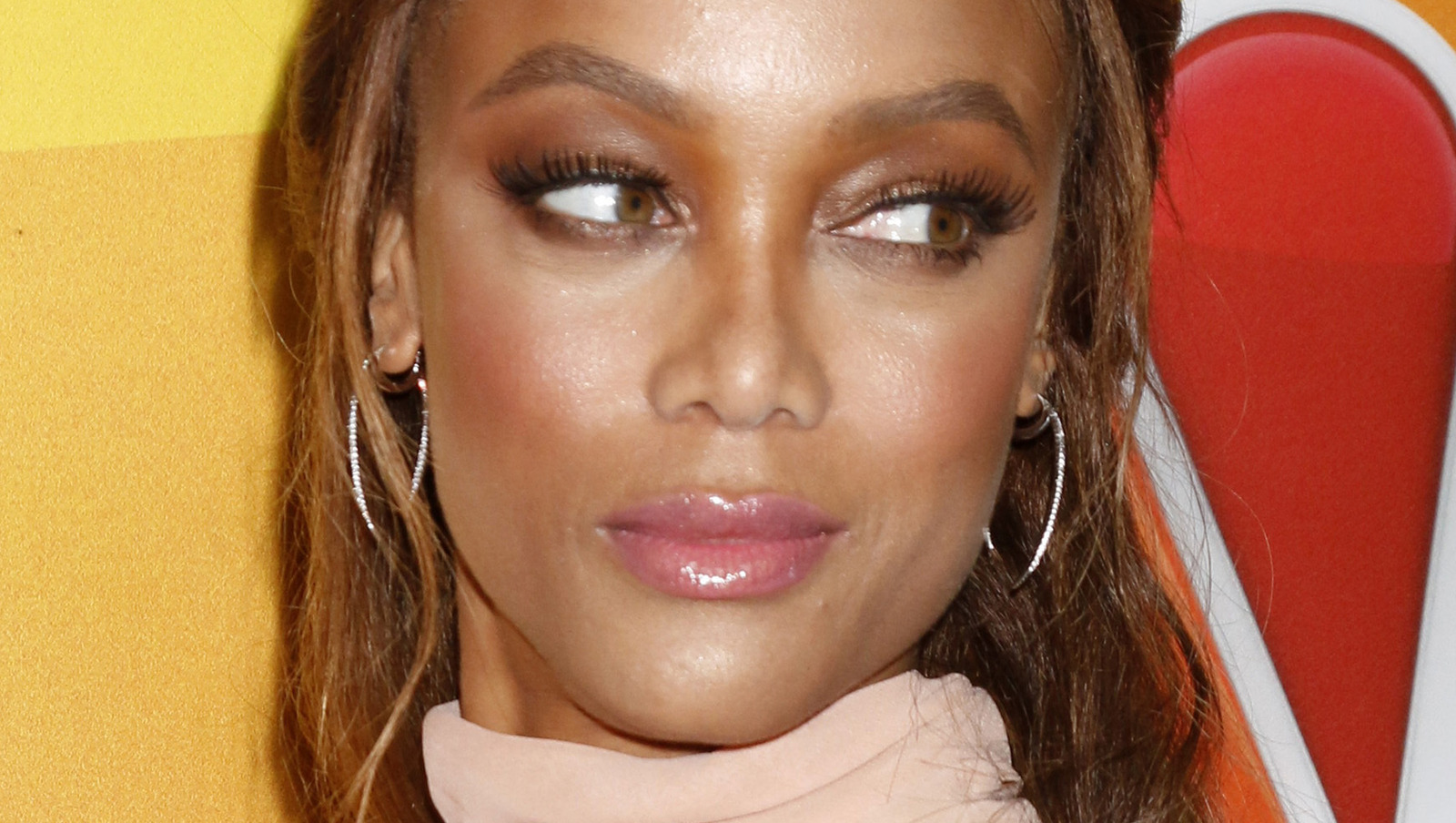 Why Tyra Banks And Janice Dickinson Didnt Get Along On Antm 