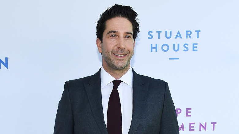 David Schwimmer red carpet