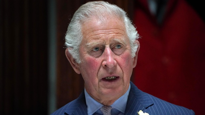 Prince Charles appears at an event in 2021