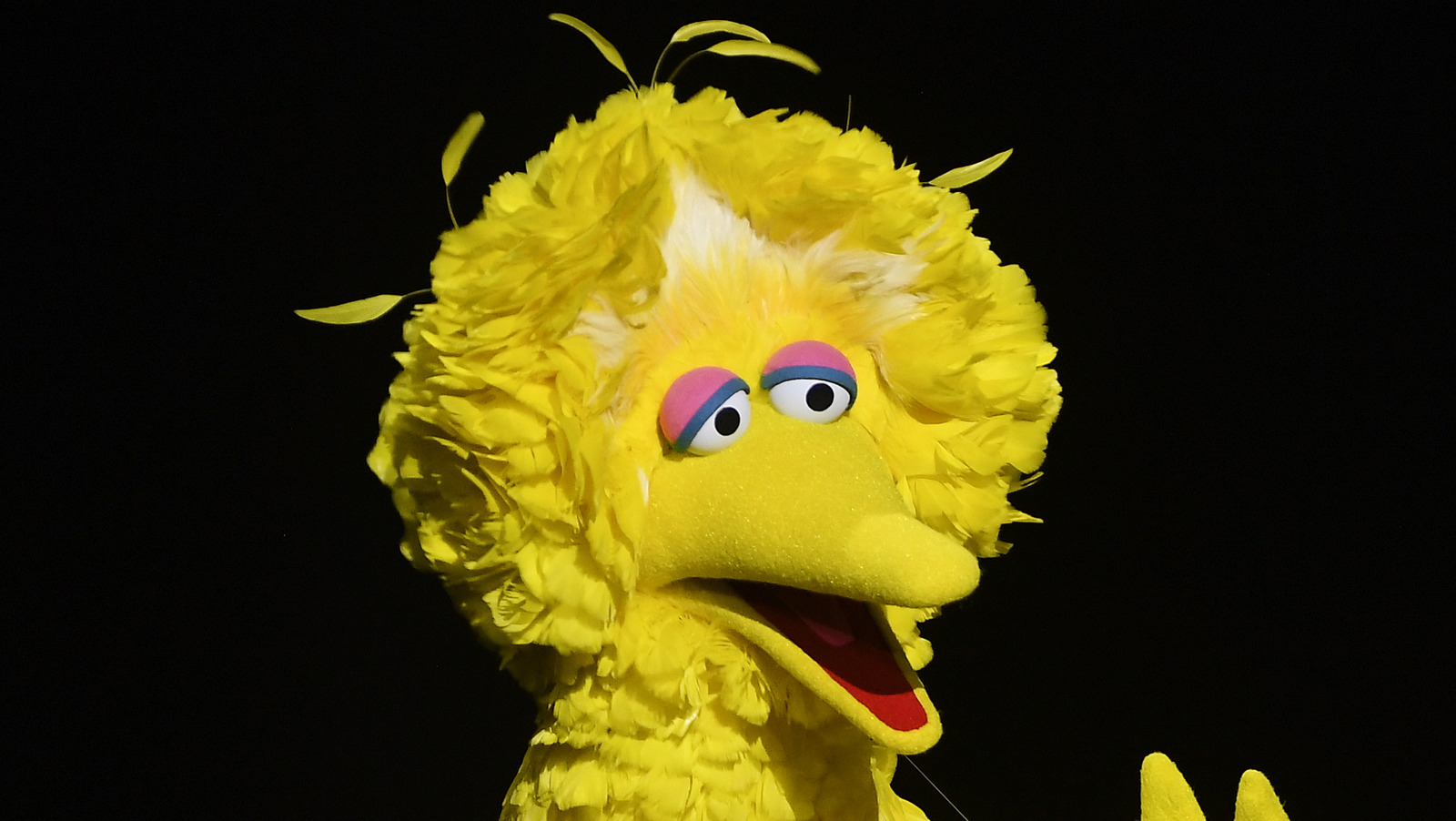 Why You Recognize The Actor In The DoorDash Sesame Street Super Bowl