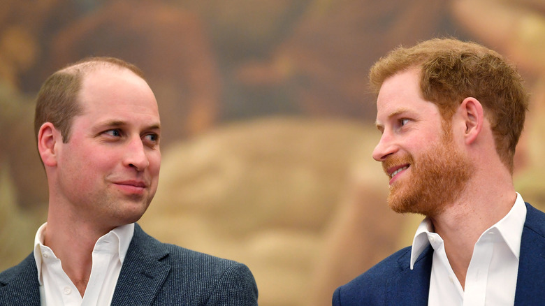 Prince William and Prince Harry smiling at each other 2018