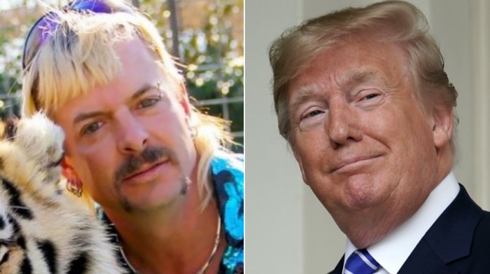 Joe Exotic, Donald Trump