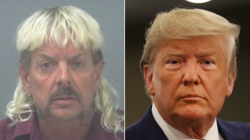 Joe Exotic, Donald Trump