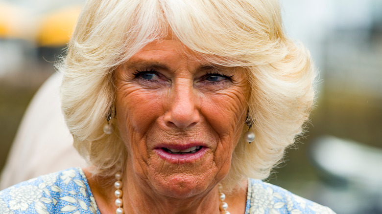 Camilla Parker-Bowles at a royal engagement