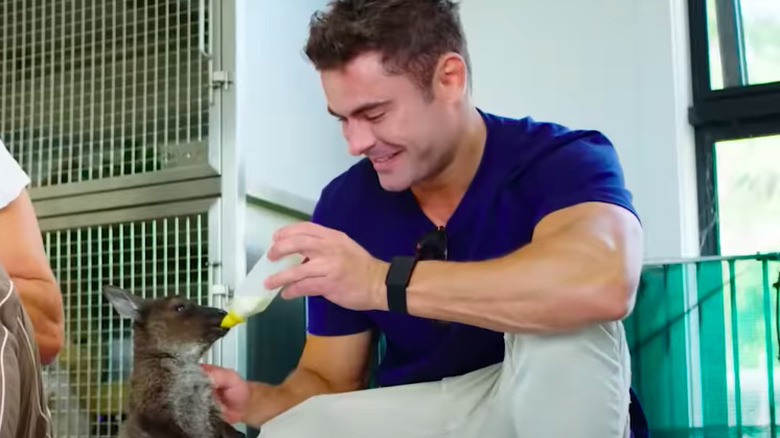 Zac Efron feeding baby kangroo bottled milk