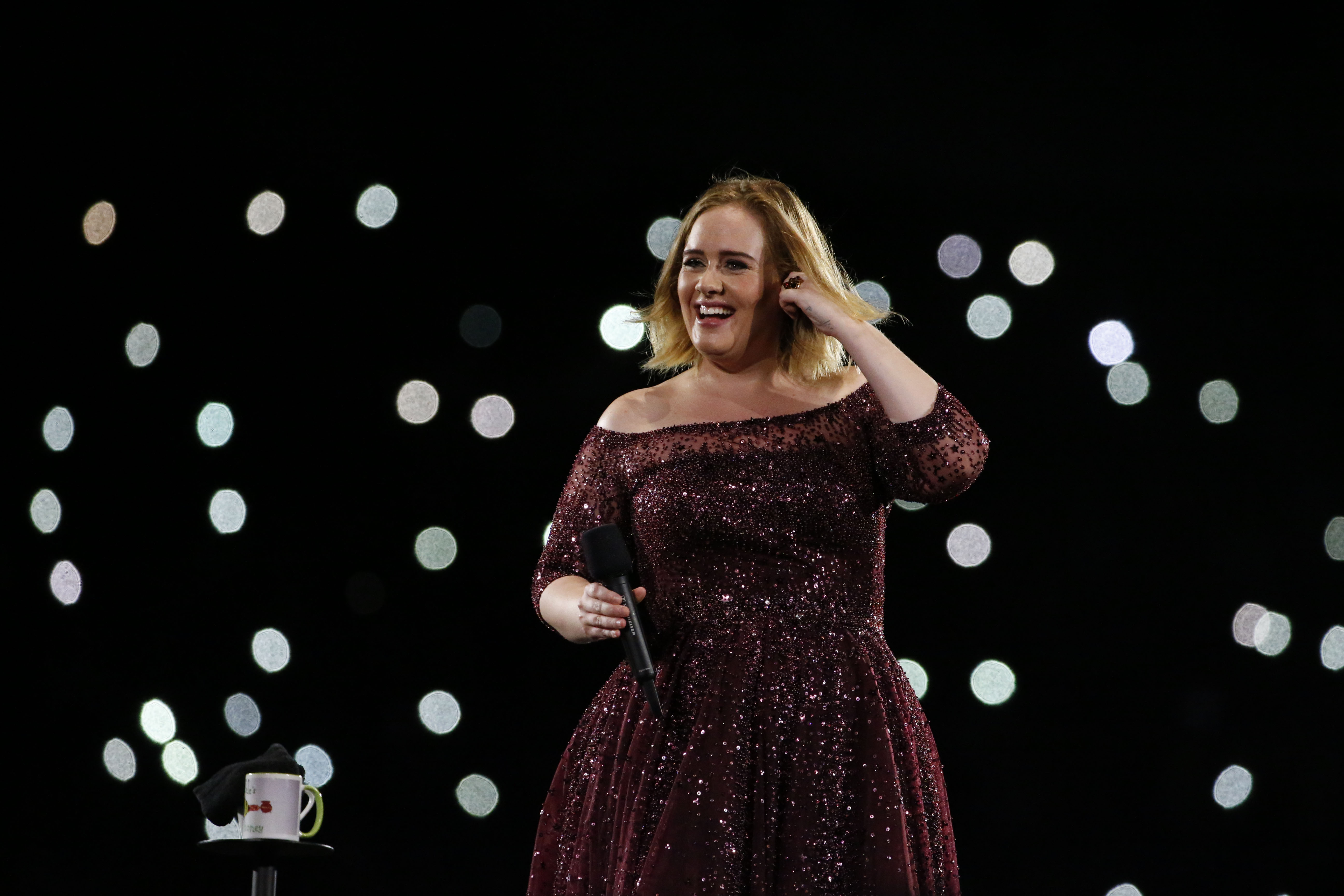 Adele Goes Off On Security Guard At Latest Concert